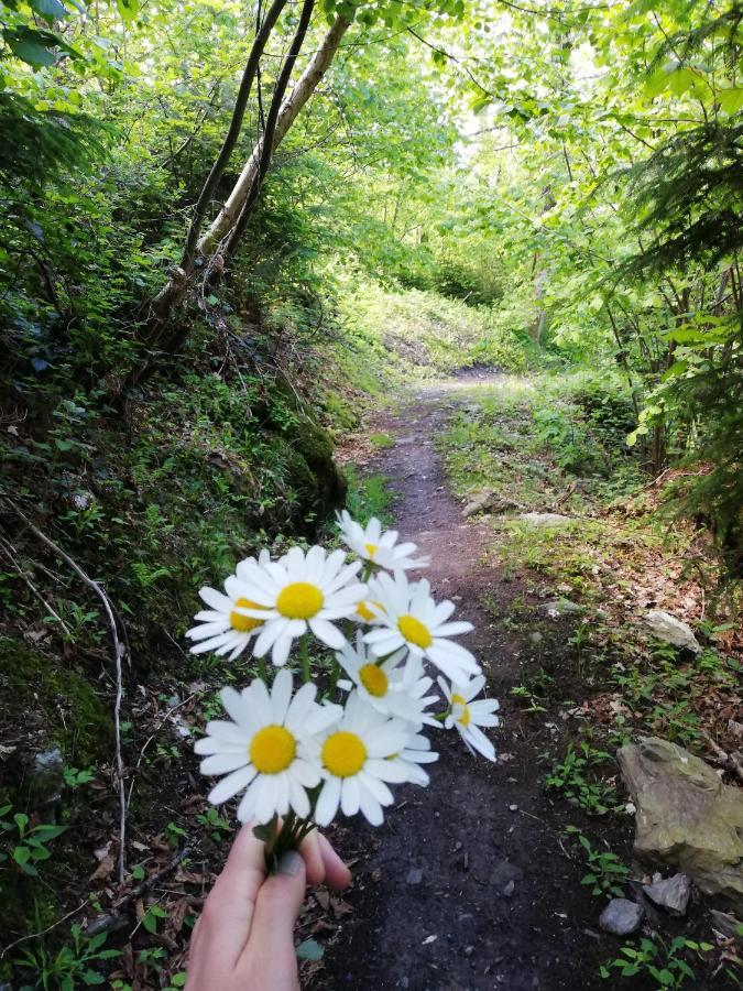 Das Ihaeusl Aschau Im Zillertal ภายนอก รูปภาพ