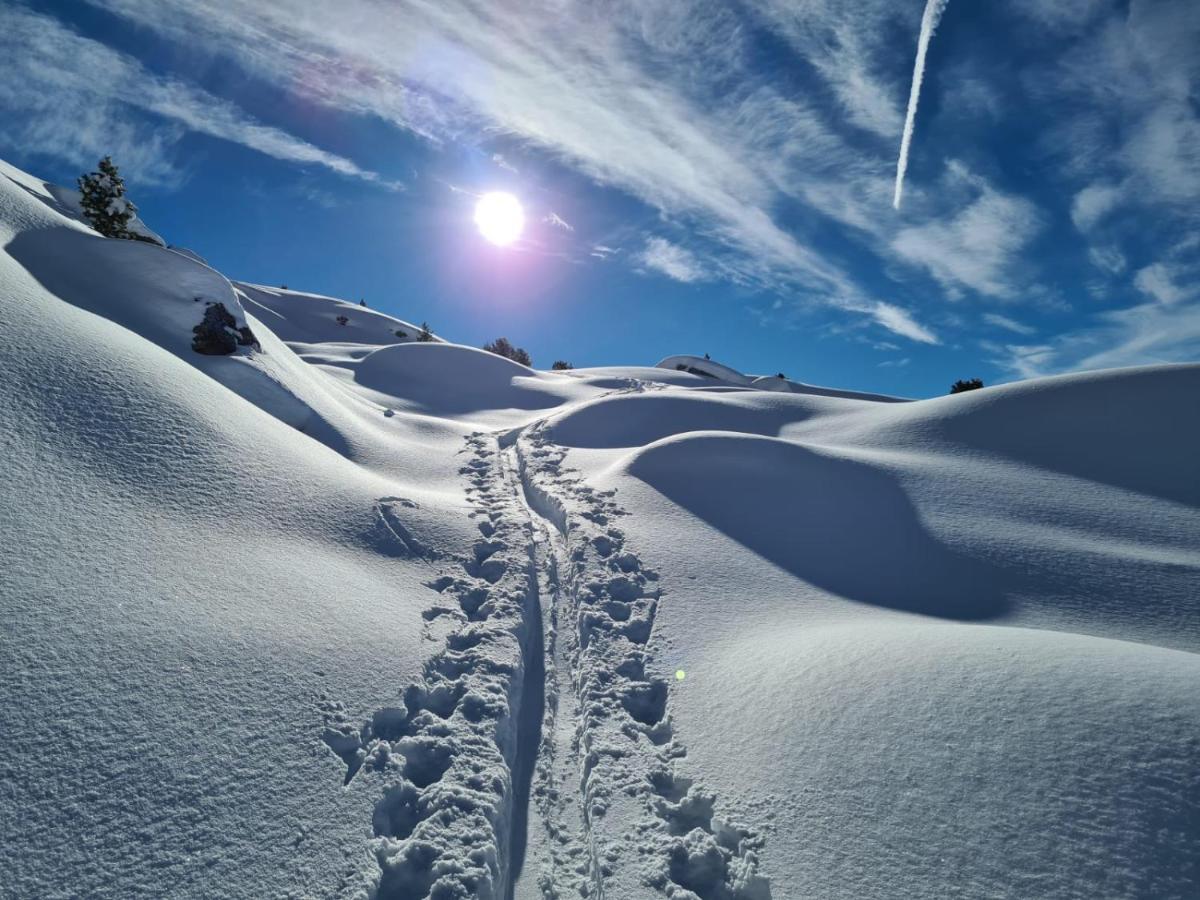 Das Ihaeusl Aschau Im Zillertal ภายนอก รูปภาพ